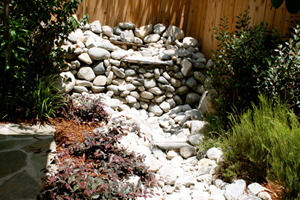 Brandon's Landscapes Portfolio